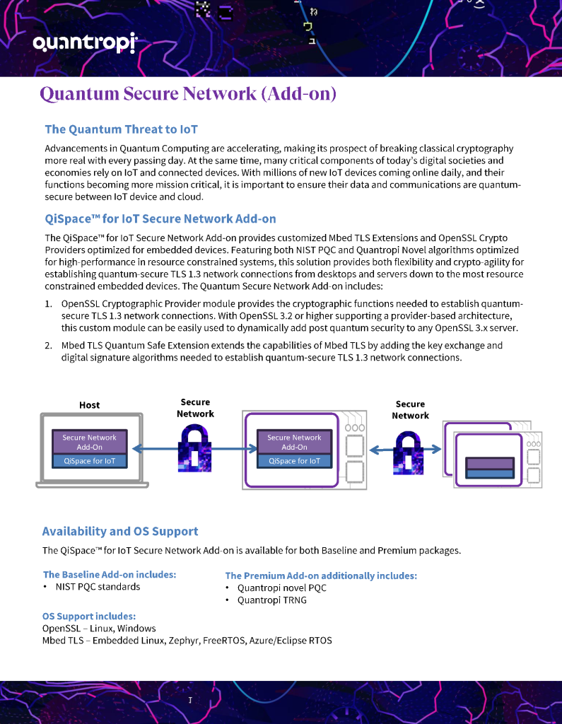 Quantum Secure Network